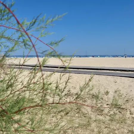 Le B - A 200 M De La Lejlighed Arcachon