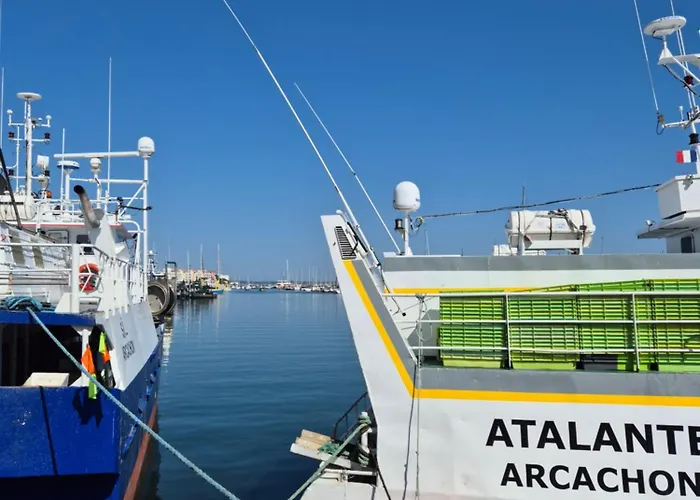 Le B - A 200 M De La Lejlighed Arcachon