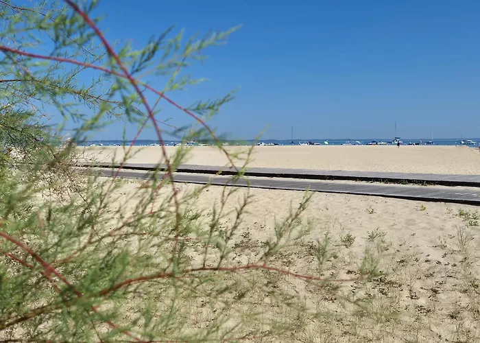 Le B - A 200 M De La 아파트 아르카숑